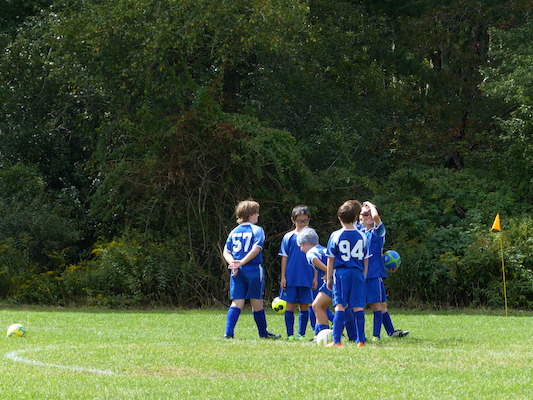 P1000117 (09-21-2013 12:52)