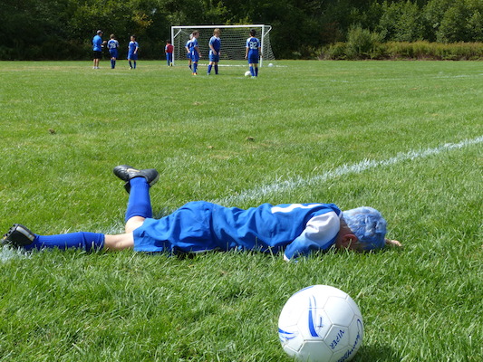 P1000122 (09-21-2013 12:54)