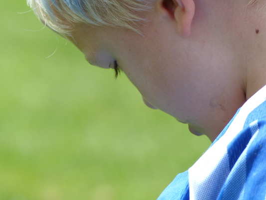 P1000125 (09-21-2013 12:58)