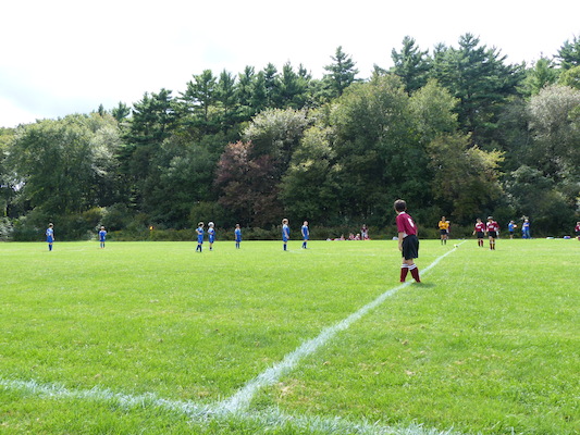 P1000128 (09-21-2013 13:00)