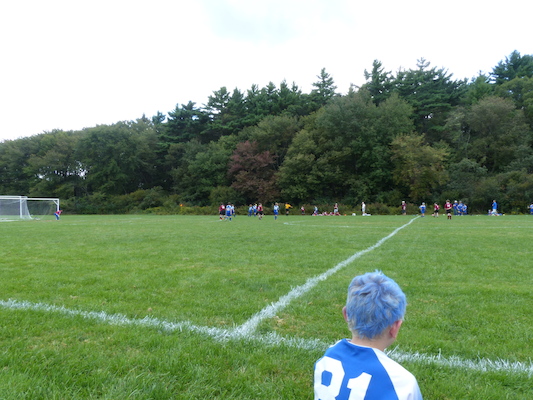 P1000132 (09-21-2013 13:23)