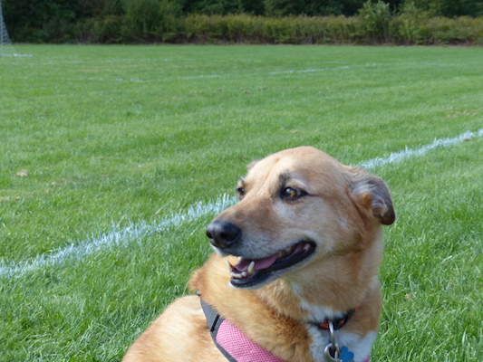 P1000140 (09-21-2013 13:35)