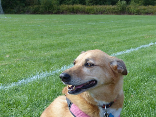 P1000141 (09-21-2013 13:35)