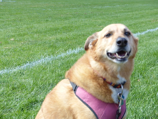 P1000142 (09-21-2013 13:35)