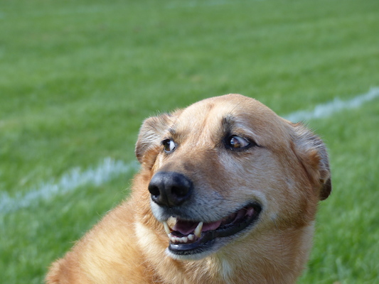 P1000143 (09-21-2013 13:35)