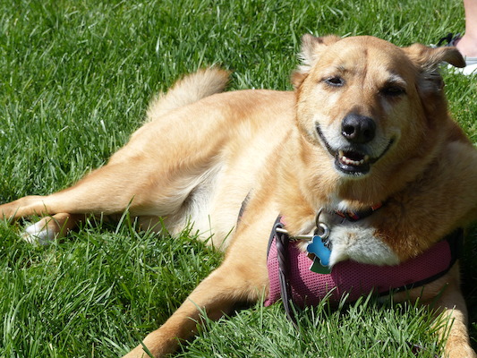 P1000148 (09-21-2013 13:42)