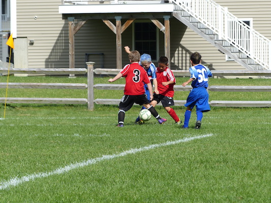 P1000169 (09-21-2013 14:40)