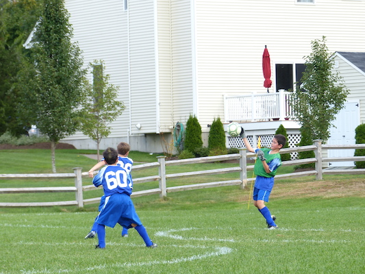 P1000201 (09-21-2013 15:16)