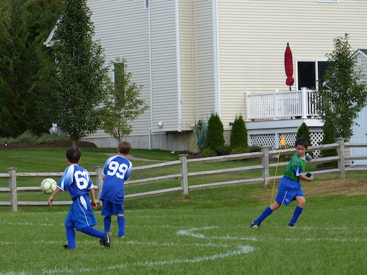 P1000203 (09-21-2013 15:16)