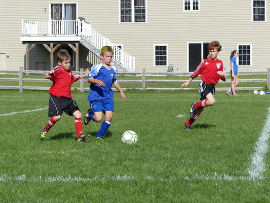 P1000208 (09-21-2013 15:20)