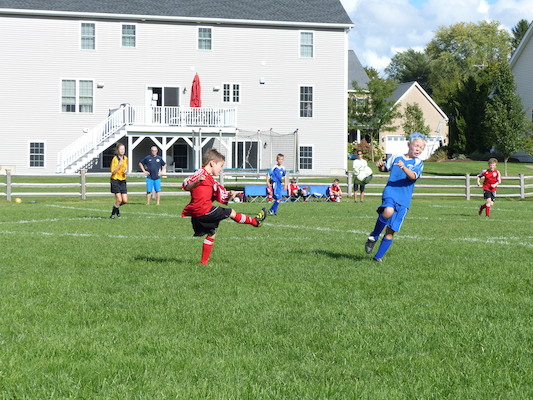 P1000210 (09-21-2013 15:22)