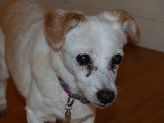 P1000223 (09-22-2013 08:09)