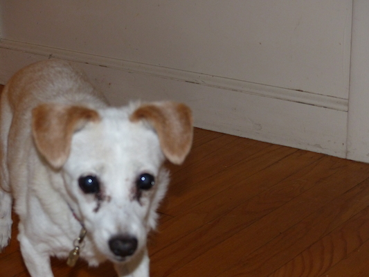 P1000225 (09-22-2013 08:09)