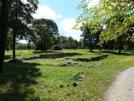 P1000229 (09-22-2013 14:10)