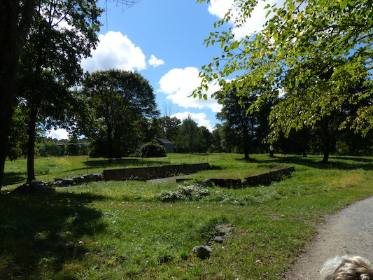 P1000230 (09-22-2013 14:10)