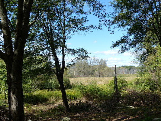 P1000234 (09-22-2013 14:22)