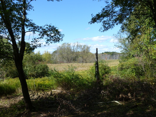 P1000235 (09-22-2013 14:22)