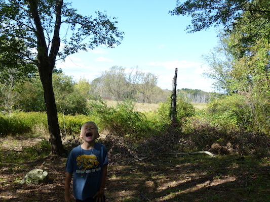 P1000236 (09-22-2013 14:22)