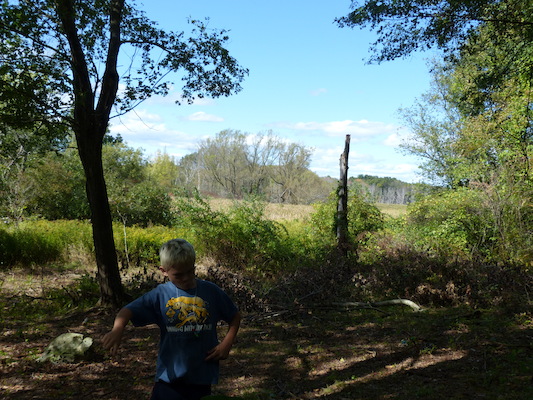 P1000237 (09-22-2013 14:22)