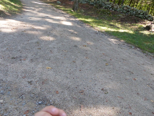 P1000240 (09-22-2013 14:39)