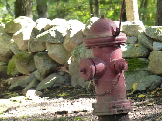 P1000246 (09-22-2013 14:43)