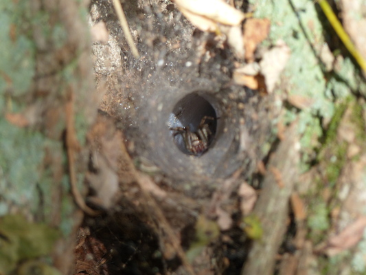 P1000251 (09-22-2013 14:49)