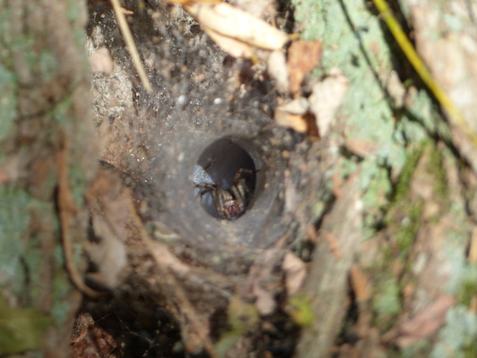 P1000252 (09-22-2013 14:49)