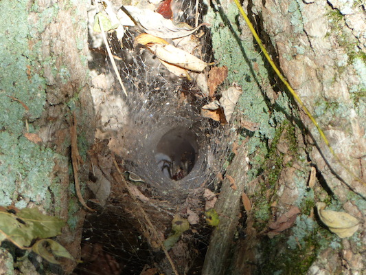 P1000255 (09-22-2013 14:52)