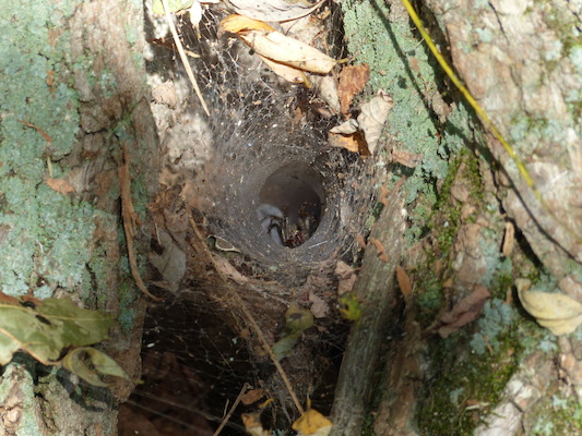 P1000257 (09-22-2013 14:52)