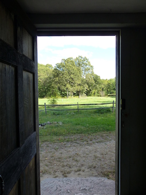 P1000287 (09-22-2013 15:03)