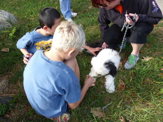 P1000290 (09-22-2013 15:32)