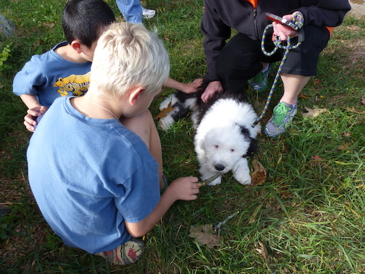 P1000291 (09-22-2013 15:32)