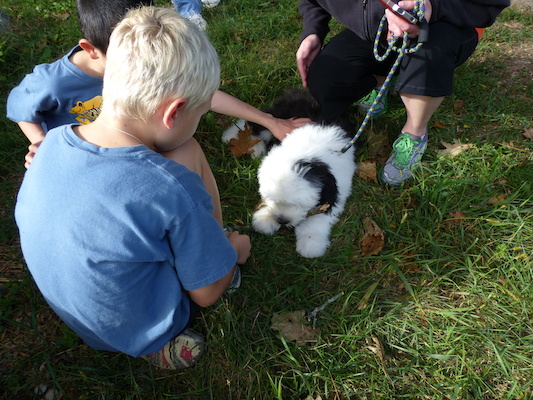 P1000292 (09-22-2013 15:32)