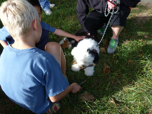 P1000293 (09-22-2013 15:32)