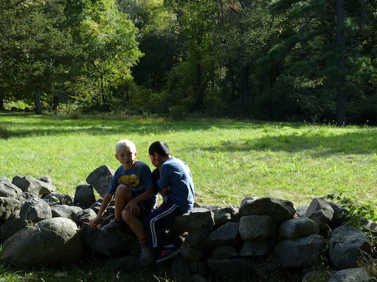 P1000295 (09-22-2013 15:33)