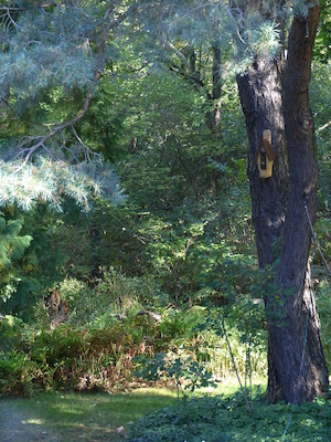 P1000323 (09-25-2013 09:20)