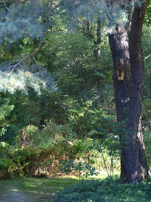 P1000324 (09-25-2013 09:20)