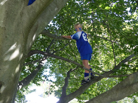 P1000326 (09-28-2013 11:49)