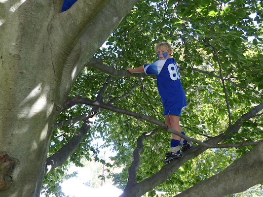 P1000327 (09-28-2013 11:49)