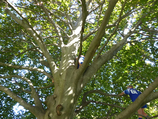 P1000328 (09-28-2013 11:49)