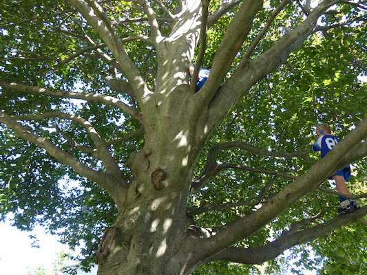 P1000329 (09-28-2013 11:49)