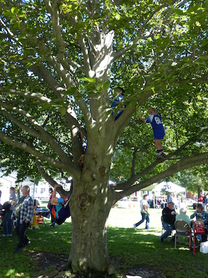 P1000330 (09-28-2013 11:50)