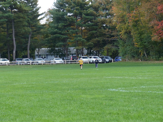 P1000392 (10-05-2013 12:56)