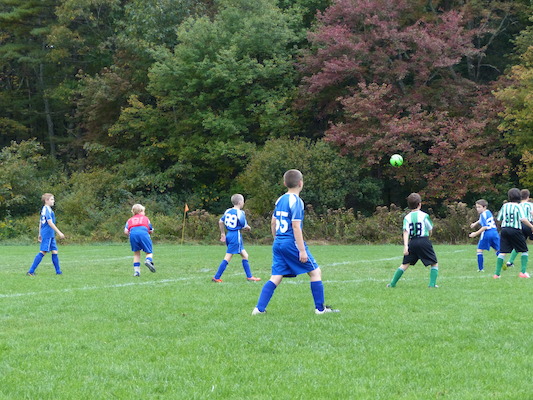 P1000398 (10-05-2013 12:57)