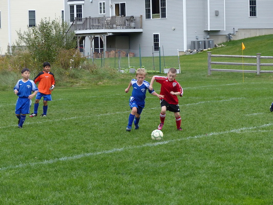 P1000399 (10-05-2013 14:39)