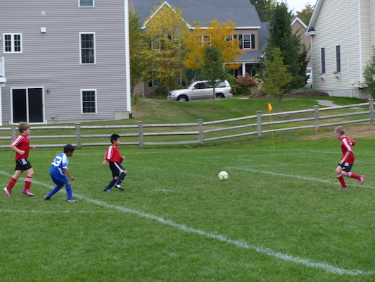 P1000410 (10-05-2013 14:53)