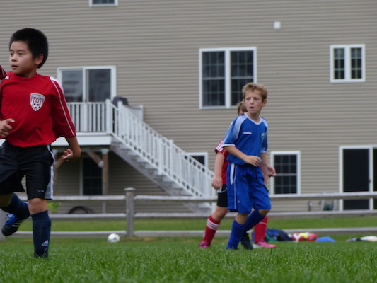 P1000415 (10-05-2013 14:56)