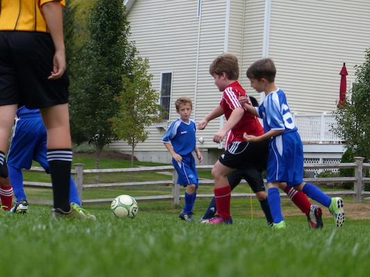 P1000416 (10-05-2013 14:57)