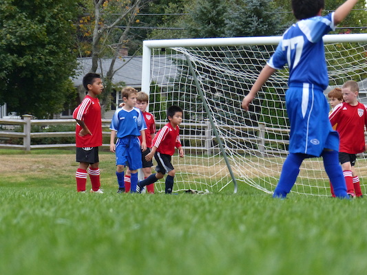 P1000418 (10-05-2013 14:58)