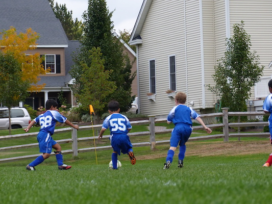 P1000420 (10-05-2013 15:06)